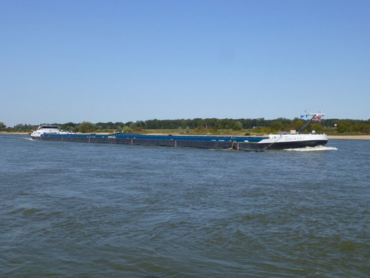 Koppelverband Sjouwer en Sjouwer I, ENI 02332229 en 02332228, motorvrachtschip met duwbak, bouwjaar 2009