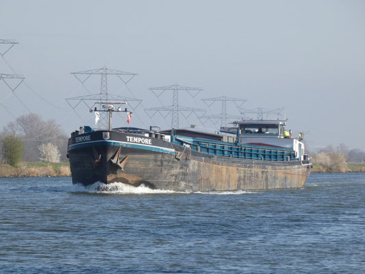 Motorvrachtschip Tempore (ENI 02316112), gebouwd in 1966 bij CNR Rupelmonde. Eerder bekend als Soli-Deo, Atol en Citius. Lengte 85,00 m, laadvermogen 1.484 ton.