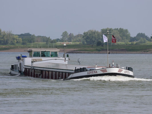 Motorvrachtschip Advena (ENI 02313371) varend op de rivier de Waal