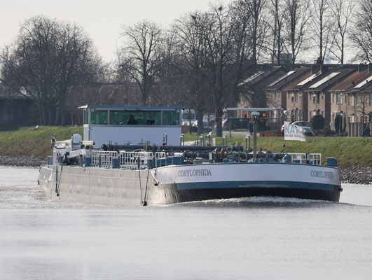 motortankschip Corylophida