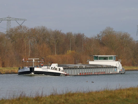 Ms Civitas