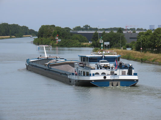 Motorvrachtschip  Animo ENI 02330050 Foto