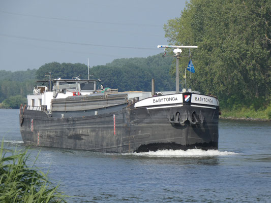 Motorvrachtschip Babytonga met ENI-nummer 02319054, een spits uit 1961