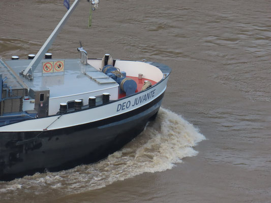 Rijn hoogwater 2024 foto 3