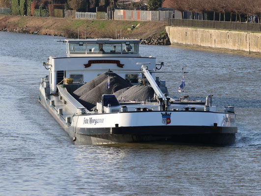 mbs Fata Morgana