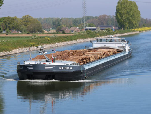 Ms Nausicaa ENI 06105008 