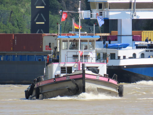 Rijn hoogwater 2024 foto 6