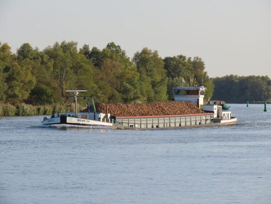 Motorvrachtschip Were Di met Europanummer 6001770 Bietencampagne