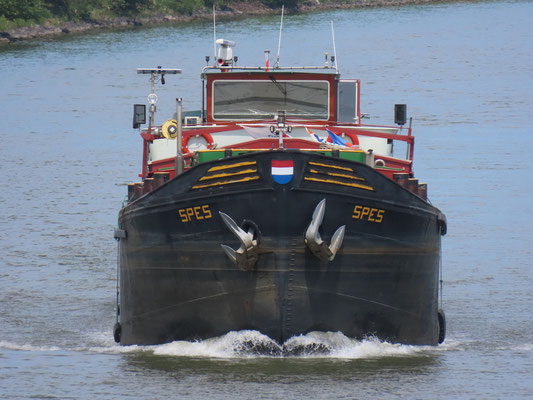 Motorvrachtschip Spes (ENI 02312077), gebouwd in 1965 bij werf Fulton te Willebroek. Lengte 49,95 m, laadvermogen 565 ton. Vaart onder Nederlandse vlag.