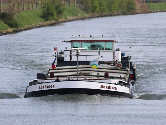 Motorvrachtschip Boadicea ENI 02321611 bij Illikhoven