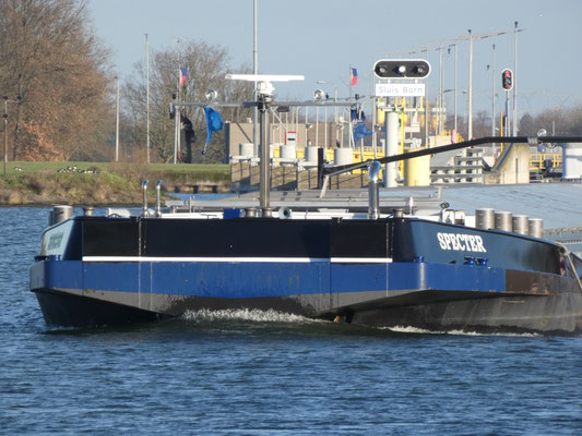 Ms Specter ENI 2321028