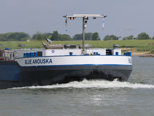 Motortankschip Blue Anouska (ENI 02339800) varend op de riviergeladen