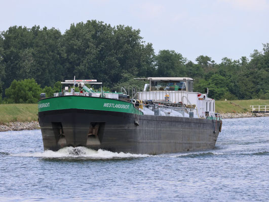 Motortankschip Westlandgracht (ENI 02104853), poedertanker voor cementvervoer
