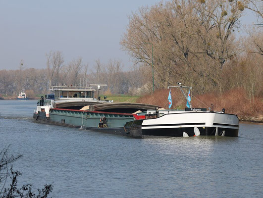 ms Veluwe 