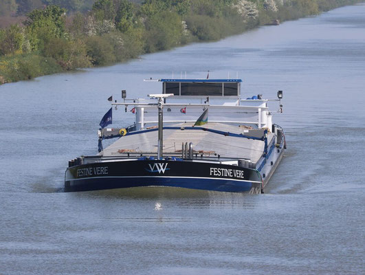 Motorvrachtschip Festine Vere ENI 02323935