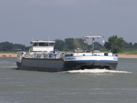 Motortankschip Blue Anouska (ENI 02339800) varend op de rivier de Waal