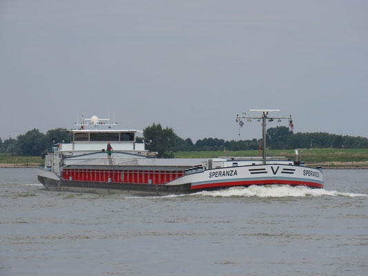 Motorvrachtschip Speranza met ENI-nummer 02325188, voorheen bekend als Goblin en Impuls, varend onder Nederlandse vlag 