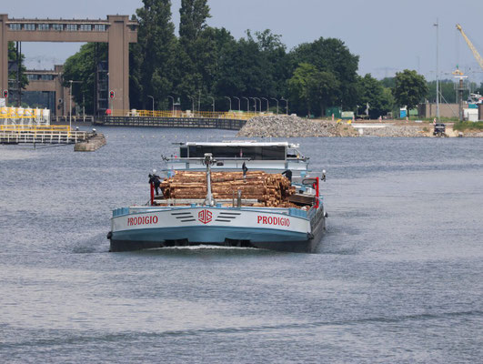 Prodigio Motorvrachtschip ENI 06004032 Gespot boven Sluis Born