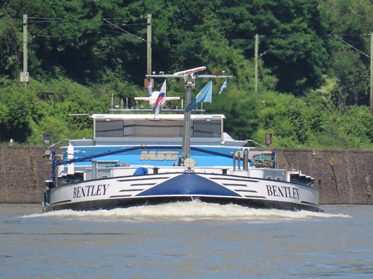 Motorvrachtschip Bentley (ENI 06003944) varend op de rivier, voormalige namen Argus en Vesper,