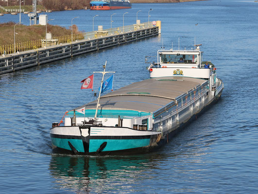 mvs Adymar D 
