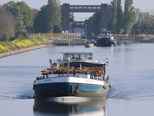 Motorvrachtschip Rustica met ENI-nummer 02207407, beladen met boomstammen