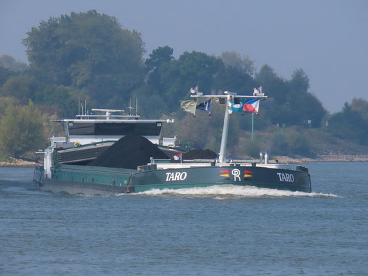 Motorvrachtschip Taro (ENI 06105280), voormalig Lianne