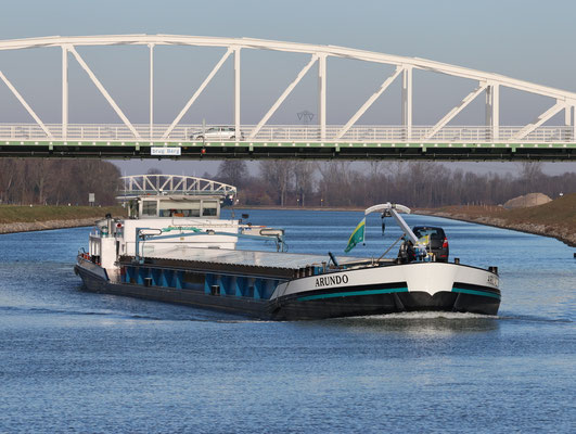 mvs Arundo