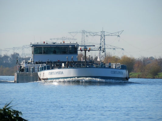 motortankschip Corylophida