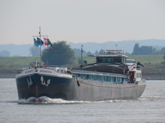 Motorvrachtschip Residence op de Waal bij Ooij.