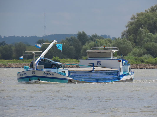 Motorvrachtschip Expecto (ENI 02312014) varend op het water, ingekort in 2018, oorspronkelijk gebouwd in 1965 als Ernestine bij De Jong & Smit in IJsselmonde.