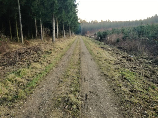 Der Grafenweg in Unter-Abtsdorf war einst die Dorfstraße