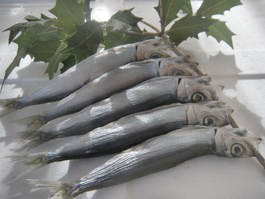 魚健 鮮魚部 商品