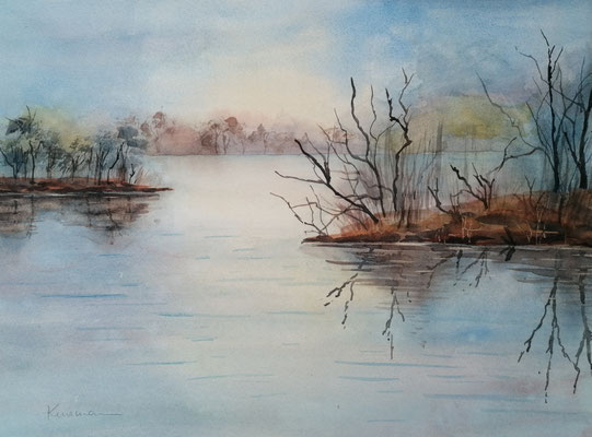 Ibm Moor, 40 x 30 cm