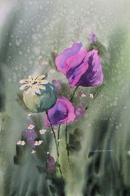 Mohnblumen, 30 x 40 cm