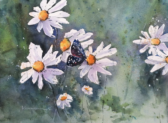 Der Schmetterling, 40 x 30 cm