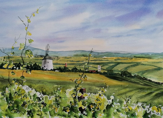 Blick auf Pulkau, 40 x 30 cm