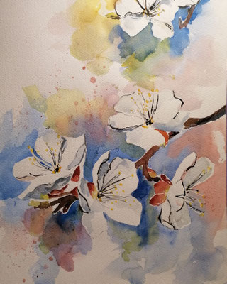 Marillenblüten, 40 x 30 cm