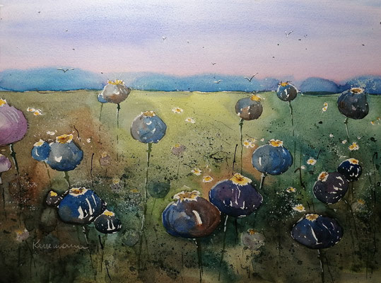 Mohnkapseln, 40 x 30 cm
