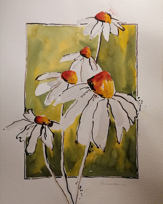 Margeriten, 30 x 40 cm