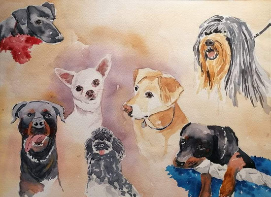 Hundeportraits, 40 x 30 cm
