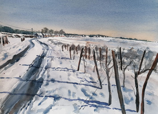 Wora Kellergasse bei Fels am Wagram, 40 x 30 cm