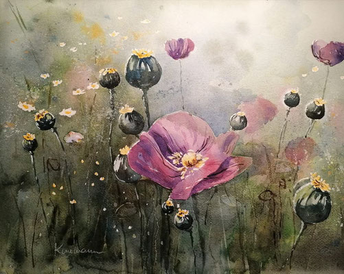 Mohnblumenfeld, 40 x 30 cm 