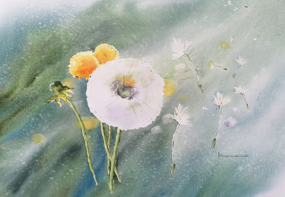 Pusteblume mit Löwenzahn, 40 x 30 cm 