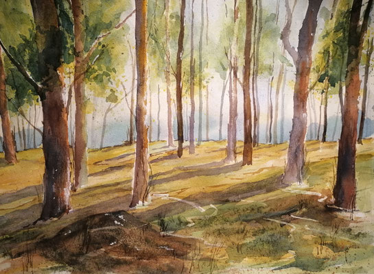 Im Wald, 40 x 30 cm