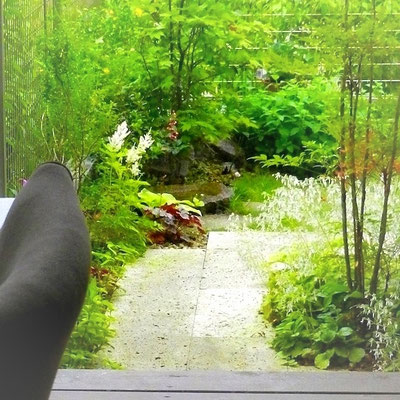 ミヤモリデザイン事務所：庭の施工例「リビングからの眺めを楽しむ庭」