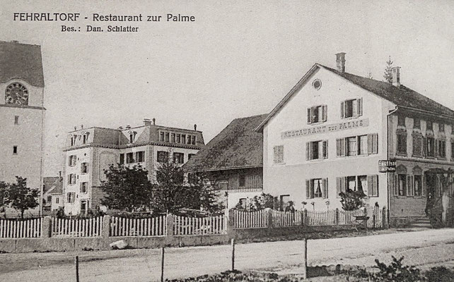Die Palme im 1911