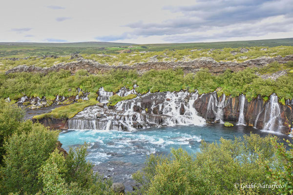 Ein Abstecher zu den Hraunfossar.