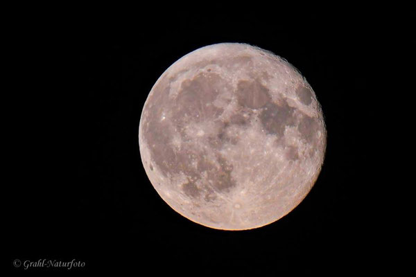 Supermond am 20. August 2024