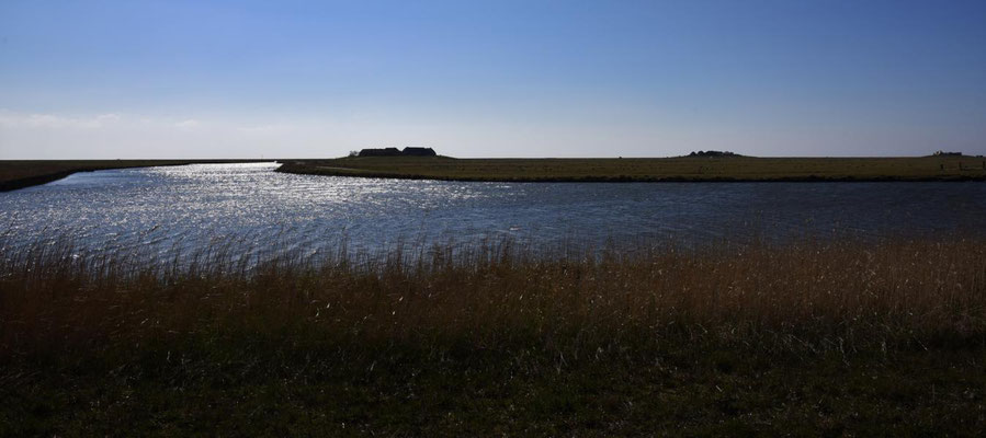 Auf der Hallig Hooge