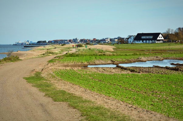 Wattseite mit Bick auf Wittdün und Steenodde